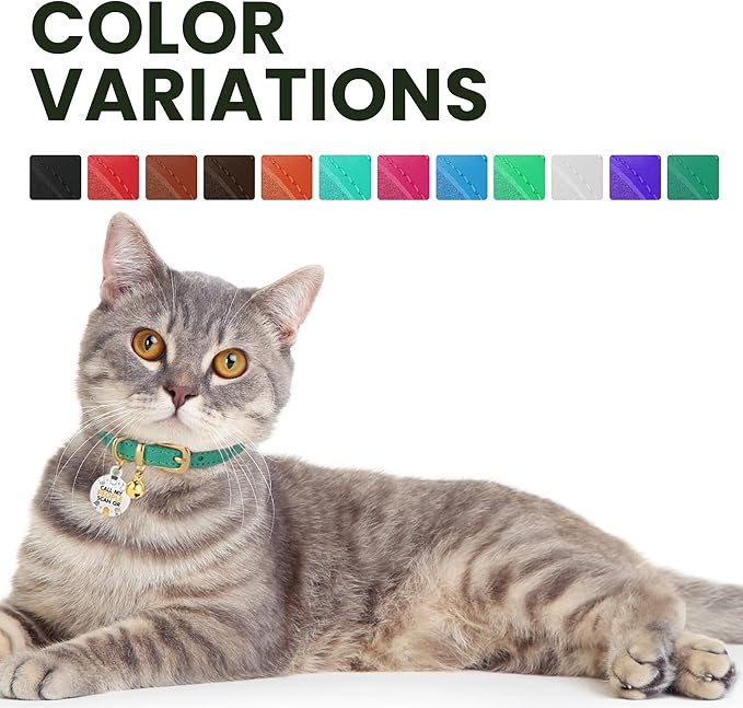 BRONZEDOG Leather Cat Collar with Removable Bells Non Breakaway Kitten QR Tag for Girl Boy (9" - 12" Cats/Mini Dogs, Dark Brown & Gold)