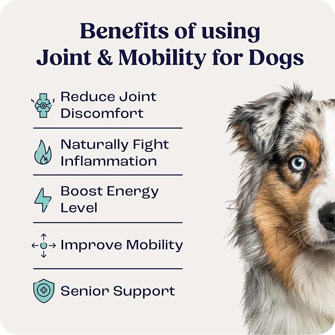 Summit Canine Joint and Mobility Supplement for Medium Dogs, All Natural Liquid Chondroitin, Liposomal Delivery for Arthritis, Hip & Joint Support Vitamin, (Dogs, 25-75lbs)