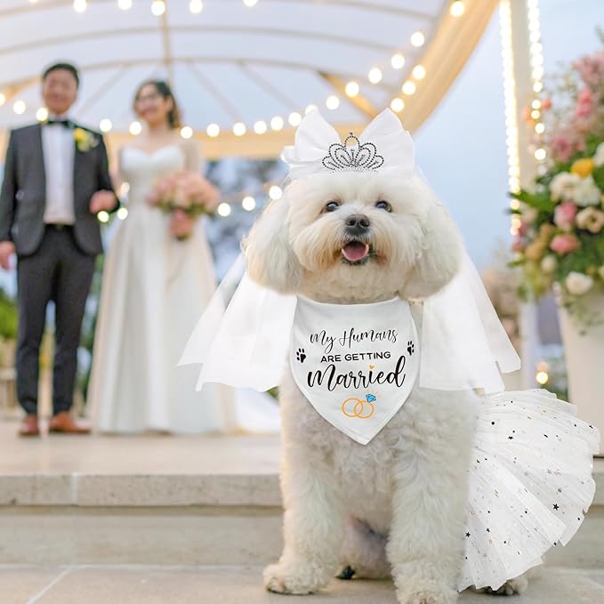 SCENEREAL Dog Bandanas Dress Set for Small Dogs, Dogs Wedding Outfit with Flower Collar Veil, Puppy Party Supplies Pet Tutu Skirt Costume