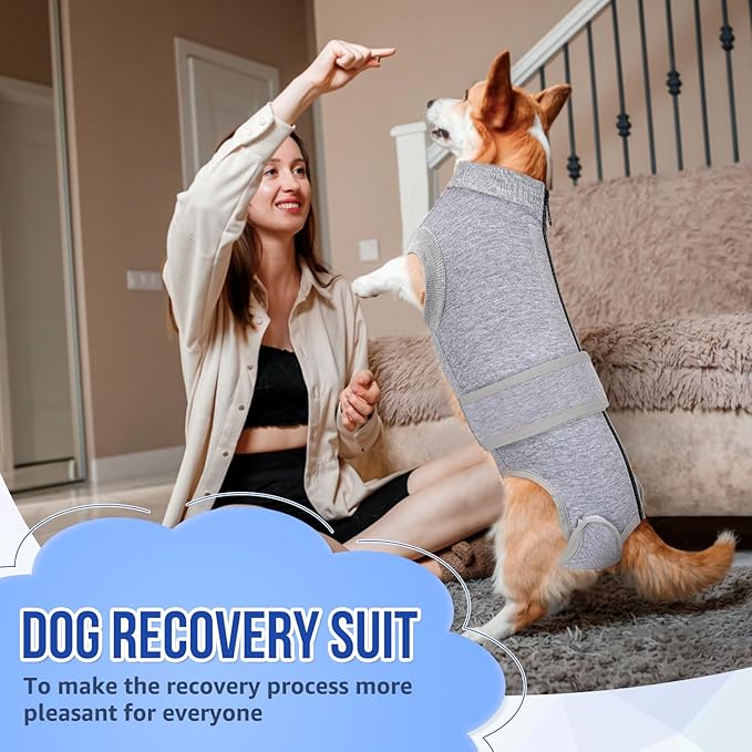 Lukovee Recovery Suit for Dogs, Zipper On Recovery Suit for Female Male Dog, Onesie Abdominal Wounds Cone E-Collar Alternative Prevent Licking Spay Recovery Suit (3XL, Grey)