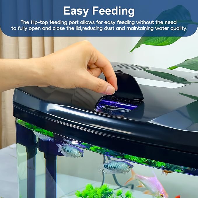 13 Gallon Glass Aquarium Starter Kit with Flip-Top Feeding Port for Betta Fish: Crystal Clear Viewing, Eco-Cycle Filtration, Air Pump, and LED Lighting