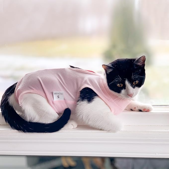 DOTON Cat Recovery Suit for Male and Female Surgical Post Surgery Soft Cone Onesie Shirt Clothes Neuter Licking Protective Diapers Outfit Cover Kitten Spay Collar(M, Pink)