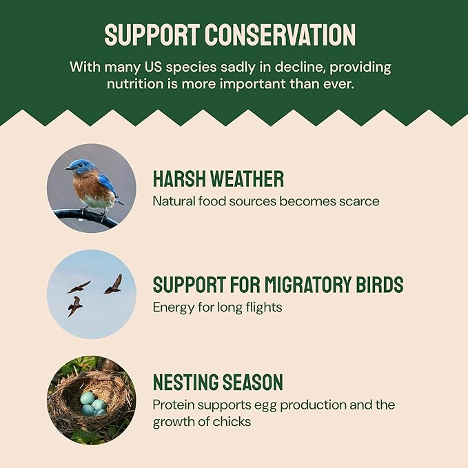 Dried Mealworms - 2 Lb Bag - High Protein Chicken Feed, Mealworms for Birds & Chickens - Meal Worms for Wild Birds & Turtles