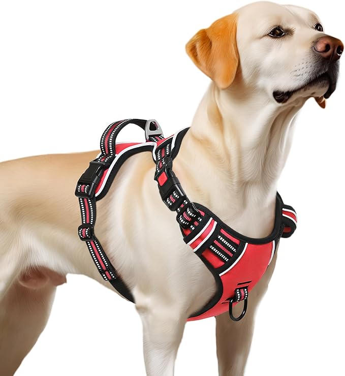 Timos Dog Harness,NO Need Go Over Dogs Head 3 Snap Buckles Pet Harness with 2 Leash Clips,Adjustable Soft Padded No-Pull,Reflective No-ChokeOxford Vest for Small Medium Large Dogs,X-Large (Pack of 1)