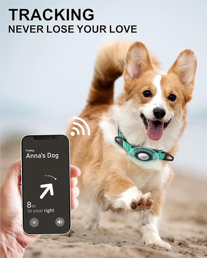 TagME Airtag Dog Collar,Waterproof Reflective Pet Collar with Airtag Holder,Soft Padded and Double D-Rings for Small Dogs,Turquoise