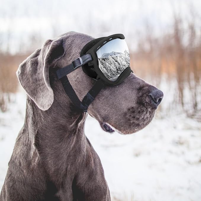 Dog Goggles for Large Dogs, UV Wind Dust Fog Protection, Soft Frame Adjustable Dog Sunglasses, Summer Driving & Winter Snow Eyewear, Tactical Pet Glasses with Elastic Strap (Black)