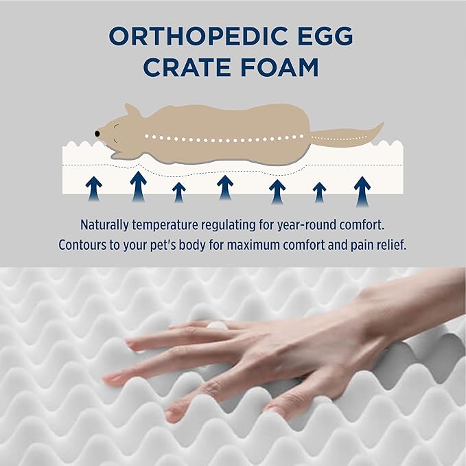 Bedsure Dog Bed Medium Size Dog - Orthopedic Waterproof Puppy Beds with Removable Washable Cover, Egg Crate Foam Pet Mat, Suitable for Pet Up to 35 lbs