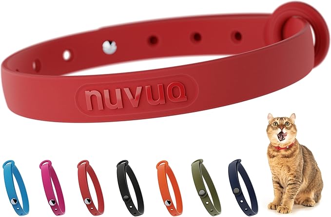Red Cat Collar - Soft, Comfortable, and Lightweight Breakaway Collar with Name Tag Ring for Outdoor Cats and Sensitive Skin Kittens by Nuvuq (6 ⅞" to 10 ¼", Red)