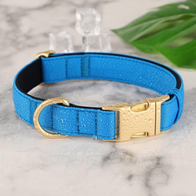 Didog Soft Padded Dog Collar for Large Dogs, Colorful and Durable Pet Collar with Quick Release Buckle, Light and Breathable for Daily Walking, Blue, L