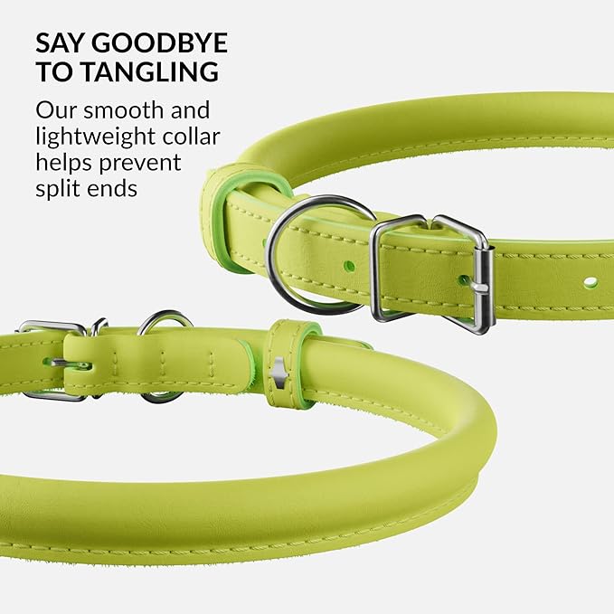 CollarDirect Rolled Leather Dog Collar, Soft Padded Round Puppy Collar, Handmade Genuine Leather Collar Dog Small Large Cat Collars 13 Colors (6 Inch, Lime Green Smooth)
