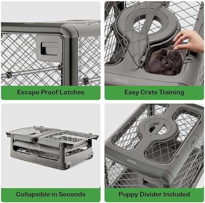 DIGGS Revol Collapsible Dog Crate with Wheels - Premium Portable Dog Crate - Safe, Stylish, and Convenient Indoor Kennel (Smoke, Small)