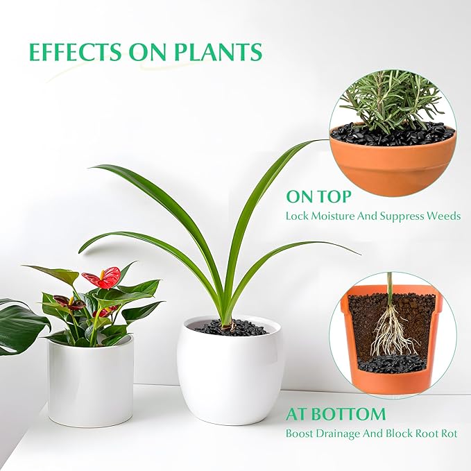 Mr. Fireglass Black Polished Pebbles, 3/8" Aquarium Rocks Natural Decorative River Rocks Gravel for Indoor Plants,Vases, Landscaping, Succulents and Home Decor (2-lb Bag)