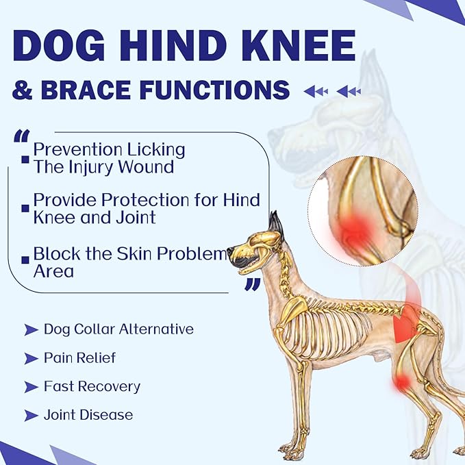 ROZKITCH Dog Surgery Leg Sleeve Rear Legs, Male Female Pet Prevent Licking Wound Elbow Knee Protector, Dog Recovery Suit Cone Collar Alternative Pants Shirt for Wound Heal Wrap Rosered L