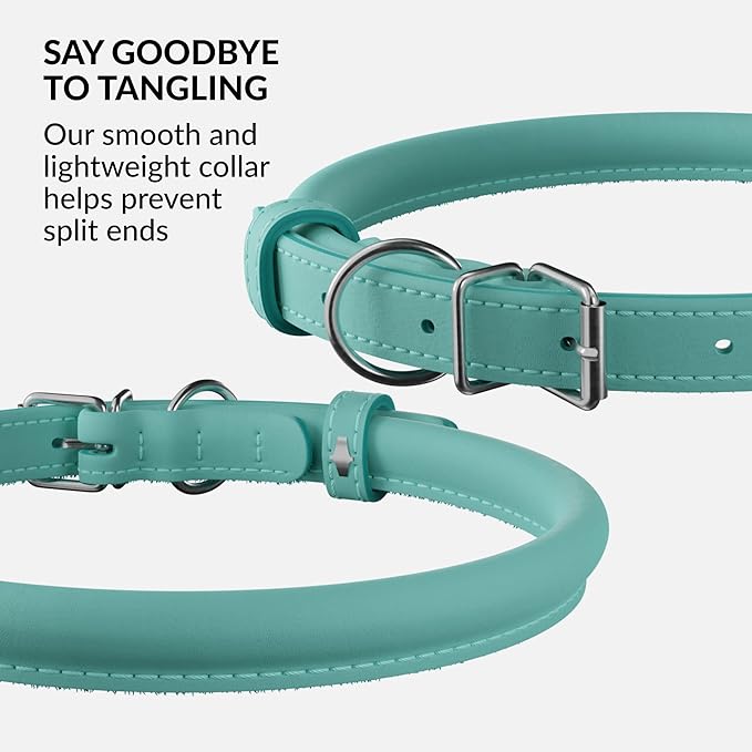 CollarDirect Rolled Leather Dog Collar, Soft Padded Round Puppy Collar, Handmade Genuine Leather Collar Dog Small Large Cat Collars 13 Colors (11-14 Inch, Mint Green Smooth)