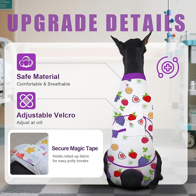 Recovery Suit for Dogs After Surgery, Professional Dog Surgical Suit for Female Spay, Male Neuter, E-Collar & Cone Alternative Dog Onesie for Abdominal Wounds Skin Disease, Purple, XL