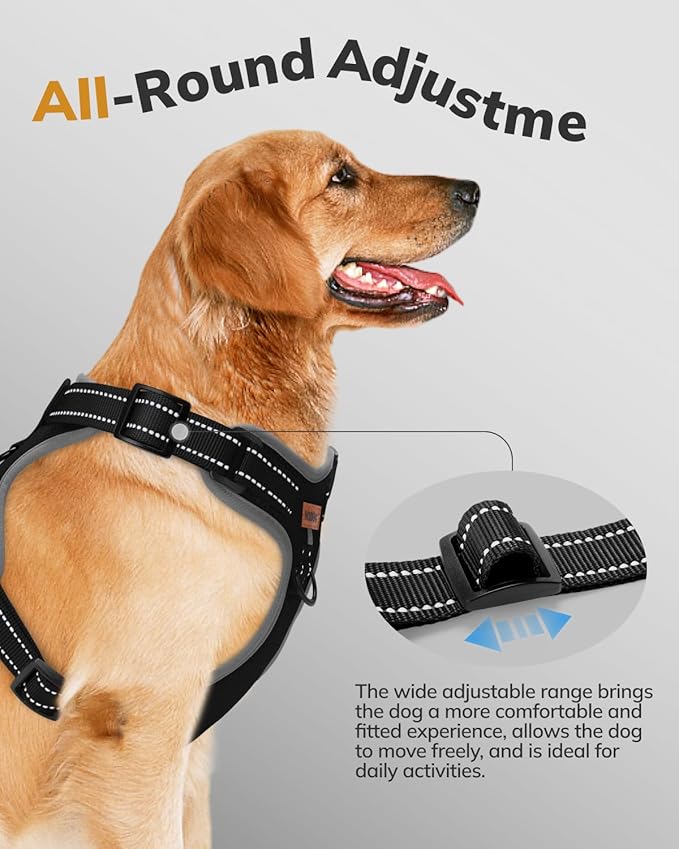 MIDOG No-Pull Dog Harness | Adjustable & Reflective Pet Harness Leash Set for Small Medium Large Dogs Walking, Training| No Choke, Front Clip, Soft Padded Vest with Easy Control Handle - Black, XS