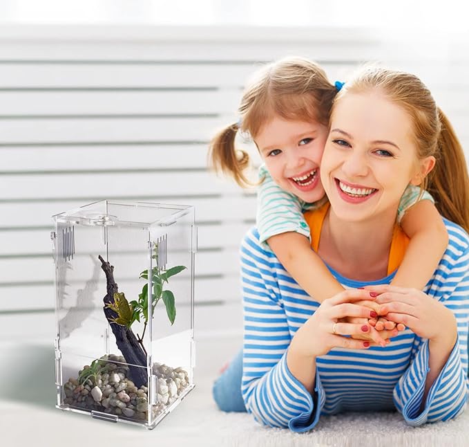 BETAZOOER Acrylic Mini Reptile Tank Habitat Transparent Terrariums with Locking Latch Suitable for Tarantula Isopod Roach Invertebrates (8''x6''x14'')