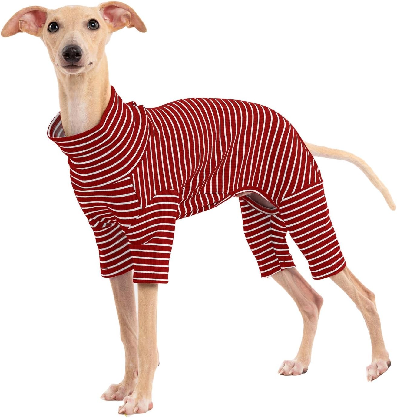 Dog Sweaters for Small Dogs Girls Boys, Striped Pet Sweaters for Fall Winter Dog Clothes, Turtleneck Pullover Knitwear for Small Medium Large Dog- ( Available in multiple colors)