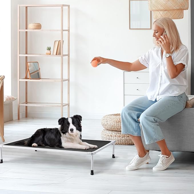 Veehoo Chewproof Elevated Dog Bed - Cooling Raised Pet Cot, Breathable Mesh, Washable & Non-Slip for Medium Dogs, Indoor/Outdoor, Black Mat and Silver Metal Frame, 32x25inches (Model CWC2203B03)