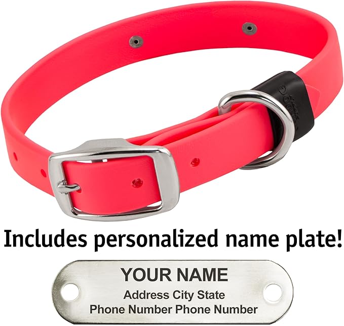Biothane Custom Dog Collar – Waterproof, Stink-Proof Personalized Collar with Name & Phone Number – Durable, Many Sizes and Colors – Assembled in USA – Assembled in USA (Hot Pink)