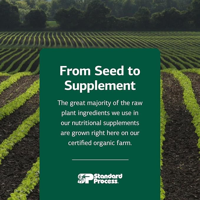 Standard Process Inc. Canine Whole Body Support - Multisystem Support Supplement for Canines - Nutritional Powder for Daily Health Maintenance - Multisystem Supplement Formula - 25 g