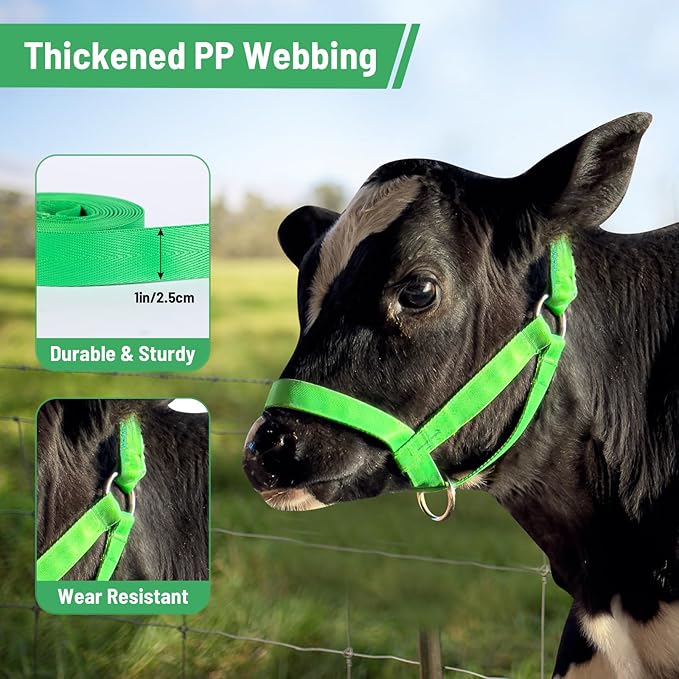 XUANNIAO Easily Adjustable Figure 8 Cow Halter, Double-Ply Premium Livestock Cattle Halters, Colorful Cow Utility Calf Halter with Leading Rope for Miniature Horse Donkey Goat Foal (Medium, Black)