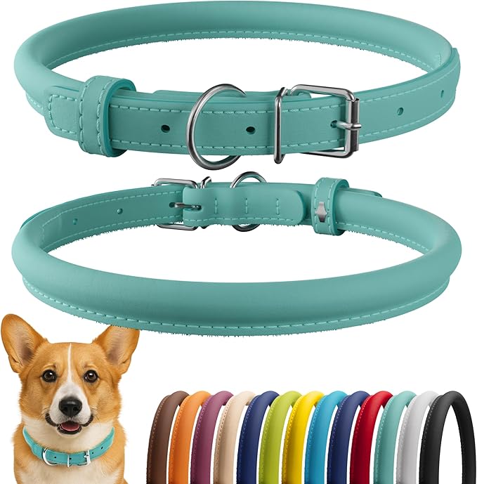 CollarDirect Rolled Leather Dog Collar, Soft Padded Round Puppy Collar, Handmade Genuine Leather Collar Dog Small Large Cat Collars 13 Colors (13-16 Inch, Mint Green Smooth)