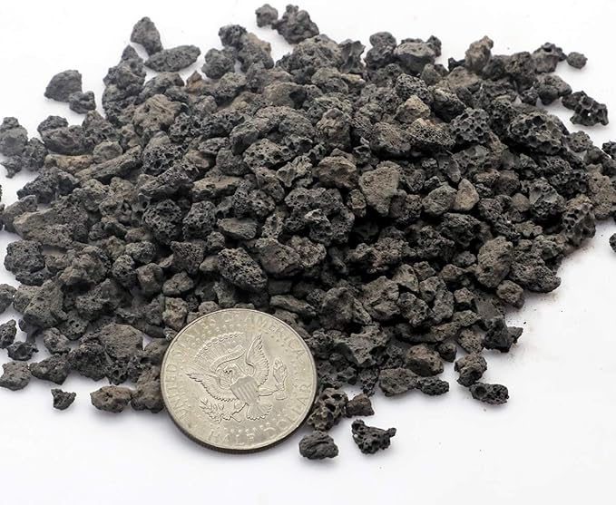 TOYPOPOR 6lb Black Lava Rock for Plants, Natural Horticultural Volcanic Grit, Cactus Succulents Bonsai Stones, Crushed Potting Gravel for Drainage Planter, Terrarium Decor, Gardening Soil Additive