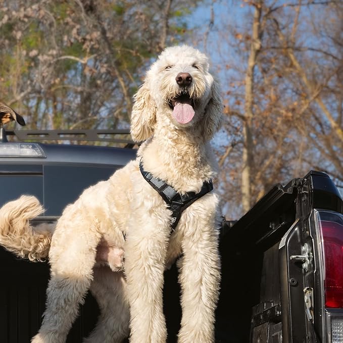 CLEPAWS Dog Harness for Medium Dogs, No Pull Dog Harness Easy Walk with Metal Hardware, Ergonomic Y-Shaped Design, Soft Padding, Padded Handle, Durable High-Tensile Nylon (Nightfall, M)