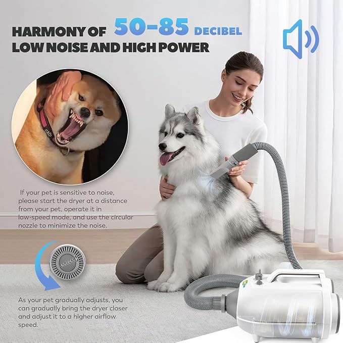Dog Dryer for Pet Grooming Professional, 6HP/3500W High Velocity Blow Dryer for Dogs, Dual Motor Pet Dryer, Adjustable Temperature 95-125℉ & Airflow 0-90 M/S, 2.5-7.5 FT Hose with 4 Nozzles