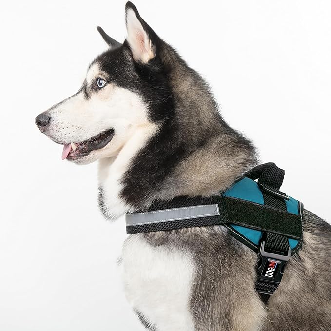 Dogline Dog Harness, Reflective No-Pull Adjustable Vest with Handle for Walking, Training, Breathable, No - Choke Harness for Small, Medium or Large Dogs Room for Patches Girth 22"-28" in Turquoise