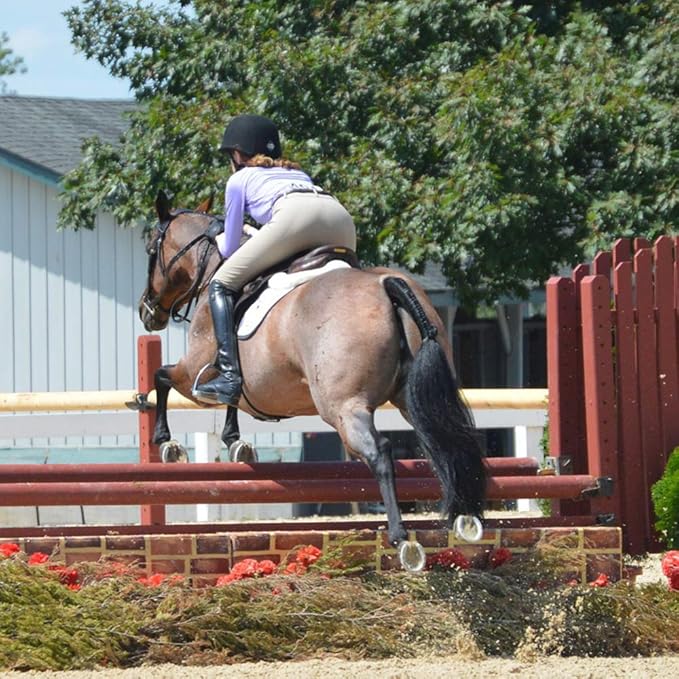 Horse Tail Extensions with Braided Horsehair Loop, Blunt Cut Bottom, 28-30 inches Long and 3/8 lb Weight