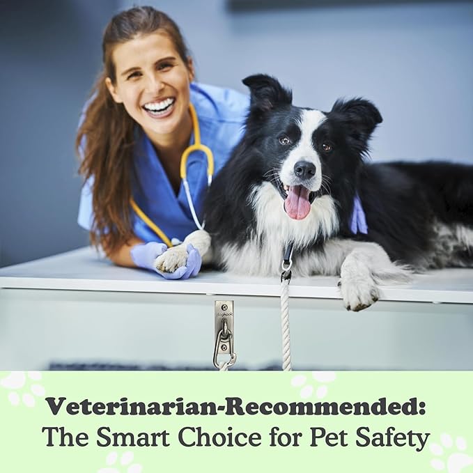 Canine Hitch- Secure Dog Leash Parking Wall Slim Hook with Clip 2 Pack - Tie Out Stainless Steel & ABS Mounting Plate for Strength - Practical Lead Management for Home & Business