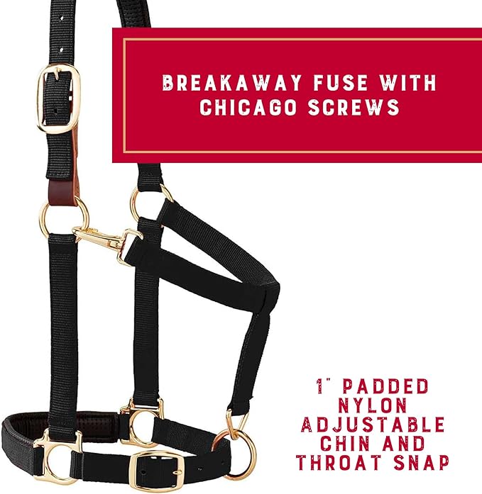 Weaver Equine Breakaway Horse Halter, Comfort Foam Padding, Adjustable Chin & Throat Snap Halters for Horses, Equine Tack,Average Size