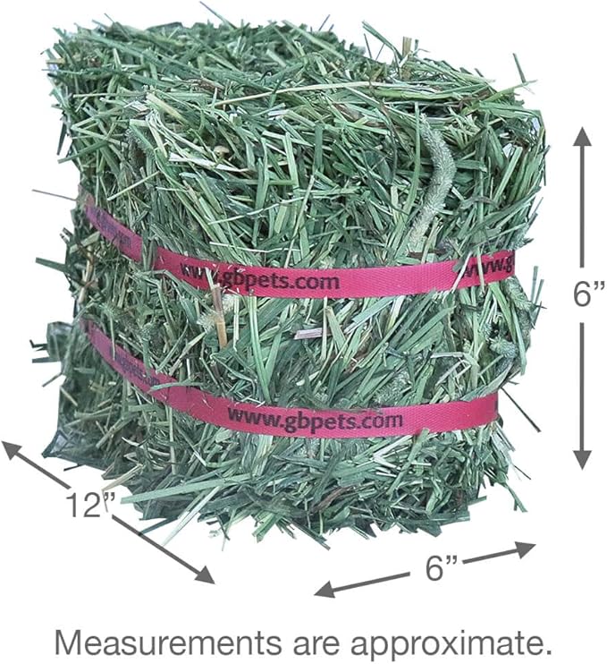 Grandpa's Best Timothy Hay Mini Bale, 10 Lbs (Packaging may vary),Brown