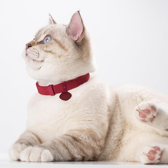 Safety Cat Collar Pro and Tag Set - U.S. IDA Gold Award, Elastic Release Cat Collar Charm Tag, Non Breakaway Cat Collar Adjustable with Charm for Kitten Small Large Cats (Glacier Silver, S)