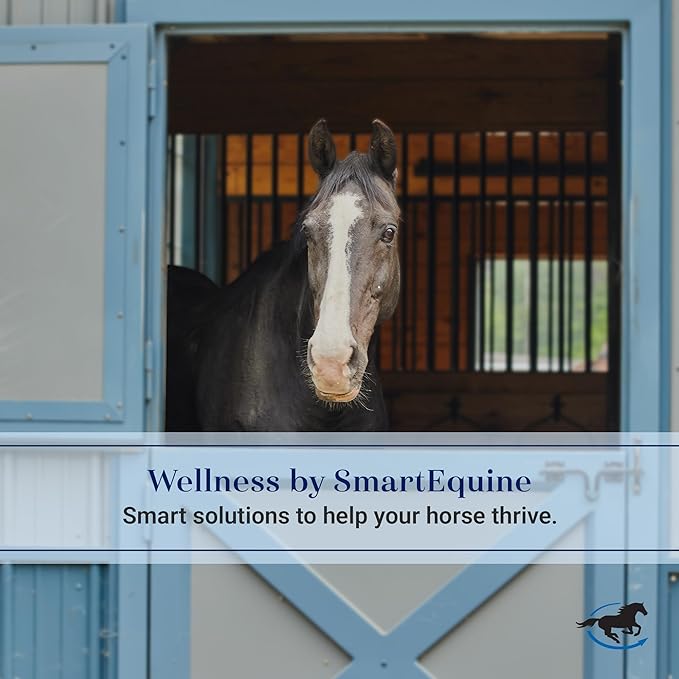 SmartEquine Comfort Fly Mask with SmartCore Technology | UV Horse Mask | UPF 50 | Forelock Hole | Stretch Material | Fine Mesh Around Ears | Moisture-Wicking for Cool Comfort (Cob)