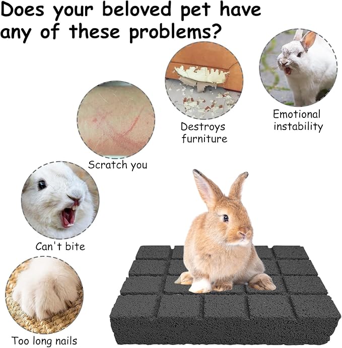 Hamiledyi 4PCS Rabbit Scratching Pads Bunny Lava Grinding Claw Pads Small Animal Foot Pads Hamster Scratch Board Chew Toys for Gerbil Chinchilla Hedgehog Guinea Pig Cage Accessories