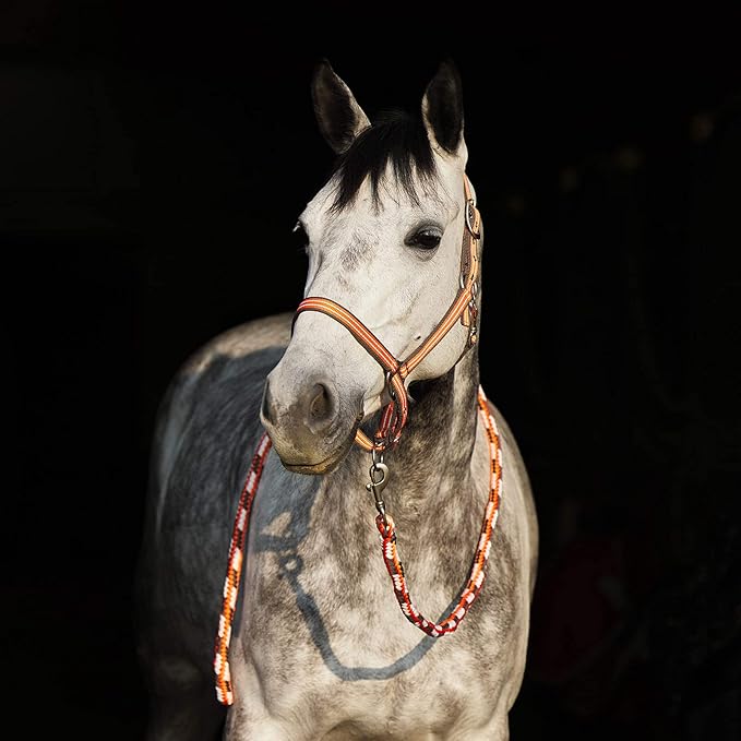 HORZE Adepto Adjustable Horse Halter | Soft, Durable Polyester - Coral Gold - Pony