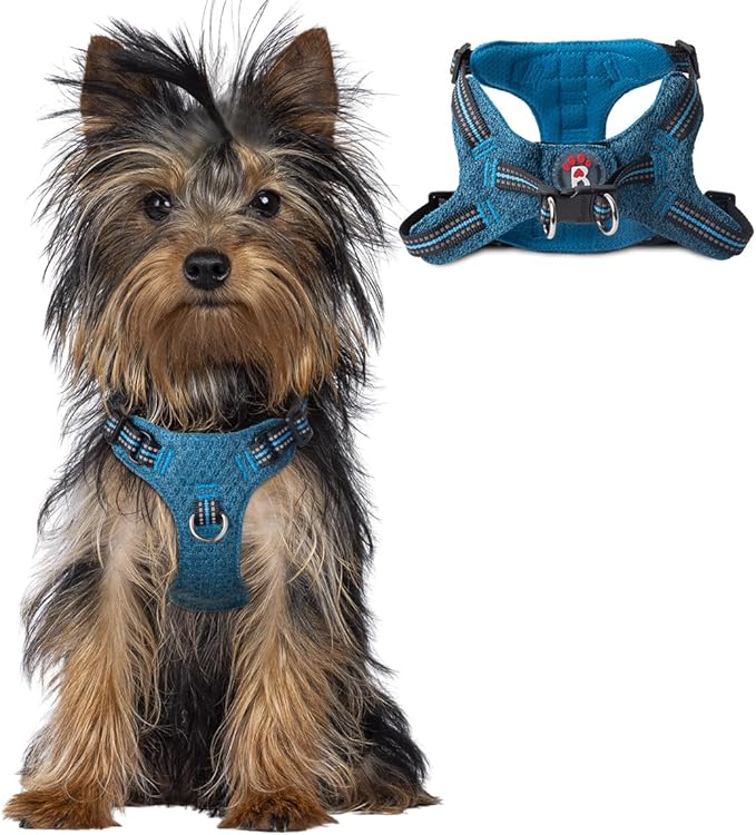 BARKBAY Dog Harness, Reflective Adjustable Step-in Vest Harness, Blue/Black, XXS
