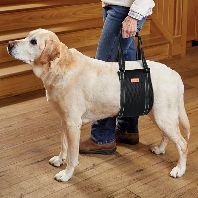 LOOBANI Dog Lift Harness | Portable Dog Sling for Large Dogs Hind Leg Support - Help Lift Back Legs for Up and Down Stairs, Canine Aid and Old K9 Cruciate Ligament Rehabilitation