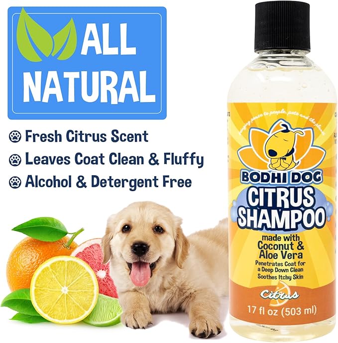 Bodhi Dog Refreshing Orange Citrus Shampoo - Deep Cleaning Coconut & Aloe Formula - Natural Soothing, Moisturizing Pet Wash for Dogs, Cats, Puppies - Tear-Free (17 Fl Oz)