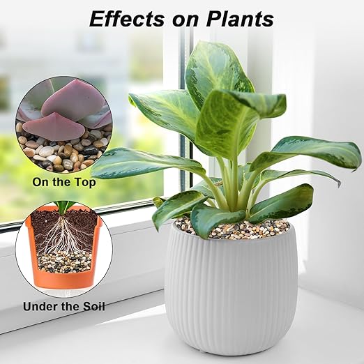 River Rocks, Decorative Ornamental Pebbles,Garden Landscaping Stones,Gravel Filler for Home Decoration Flower Bed Fish Tank Plants Vases Succulents