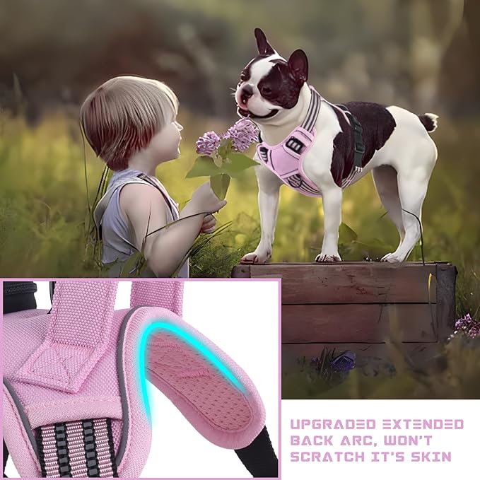 BUMBIN Dog Harness for Large Dogs, No Pull Adjustable No Choke Pet Vest with Dog Leash Fit Smart Reflective Pet Walking Harness for Training Easy Control Soft Handle Pink L