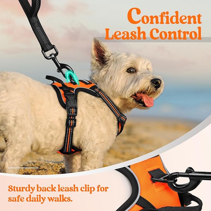 rabbitgoo Dog Harness No Pull with 2 Leash Clips, Adjustable Soft Padded, Reflective Oxford No Choke Pet Vest with Easy Control Handle for Puppy, Orange,XS