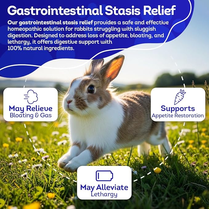 HA4E - Rabbit Gastrointestinal Stasis Treatment - Promotes Healthy Digestion & GI Stasis Relief -Natural Homeopathic Digestive Health Tablets - 300 Count