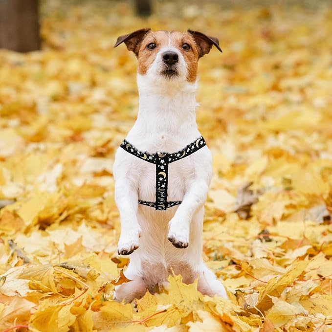 PUPTECK No Pull Dog Harness Soft Adjustable Basic Nylon Step in Puppy Vest Outdoor Walking with ID Tag, Moon Star Black, S