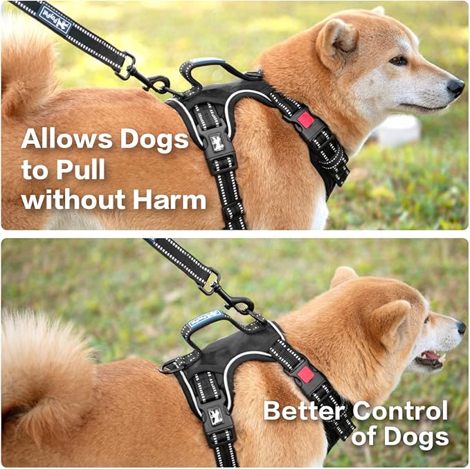 PoyPet No Pull Dog Harness, No Choke Front Clip Reflective Dog Vest with Soft Padded Vertical Handle, 3 Leash Attachments for Small Medium Large Dogs (Black,M)