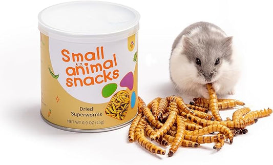 Niteangel Small Animal Snack & Treats - Small Critter Natural Treat for Dwarf Syrian Hamsters Gerbils Mice Sugar Glider Hedgehogs Chickens Birds (Dried Worms- 0.9oz (25g))