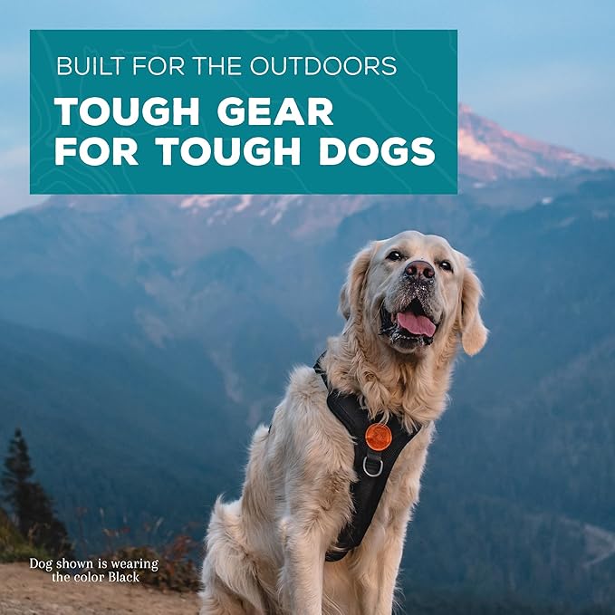 Wilderdog Lightweight Dog Harness with Reflective Straps - Medium - Black